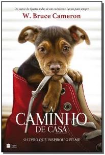 A caminho de casa