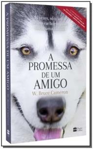 A promessa de um amigo