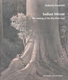 Indian Mirror